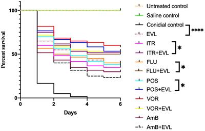 Interactions between antifungals and everolimus against Cryptococcus neoformans